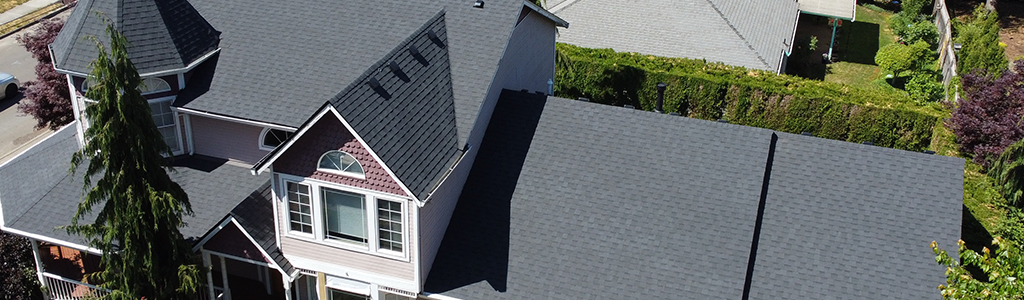 asphalt roof asphalt roof